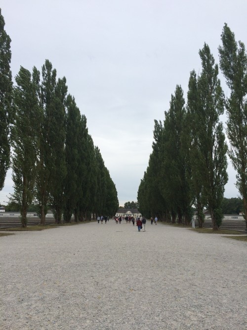 the path between the barracks to the "roll call" area